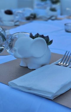 gastronomikon.gr gallery home05